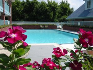 Best Western Alvin Inn