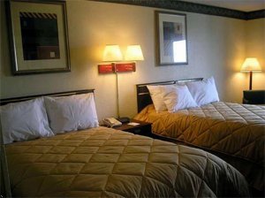 Comfort Inn Hayti