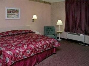Comfort Inn Kingsville