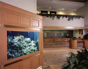Hilton Houston Hobby Airport