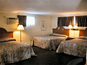 Palmyra Motel