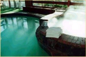 Telopea Inn On The Park