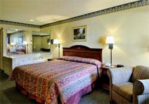Super 8 Motel - Houston/I-10 & 610