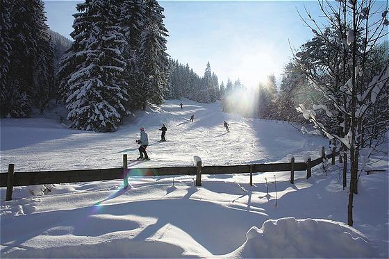Alpenhof Murnau