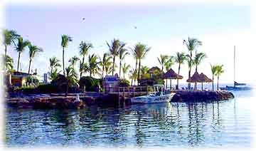 Clearwater Clear Water