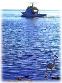 Islamorada Shore