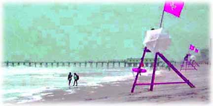 Walking the Beach near Jacksonville