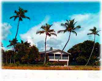 A House under Palm Trees On the Beach