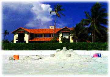 Sand Castles on the Beach of Naples