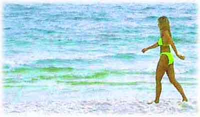 Panama City Bathing Beauty
