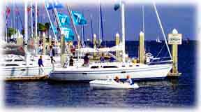 Tampa Boats