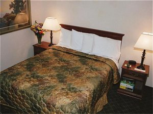 Americinn - Rogers, Mn