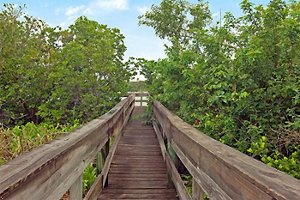 Best Western Intracoastal Inn