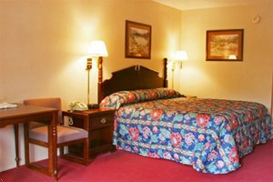 Best Western Wilderness Trail Inn