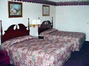 Best Western Fort Bend Inn & Suites