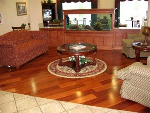 Best Western Inn & Suites