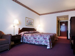 Best Western Executive Inn