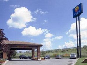 Comfort Inn Newmarket