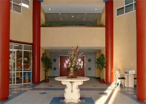 Comfort Inn & Executive Suites