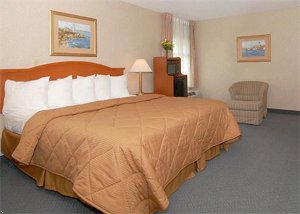 Comfort Inn Portage