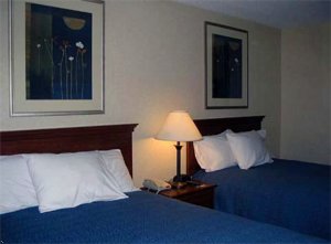 Comfort Inn Hadley