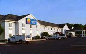 Comfort Inn Hart