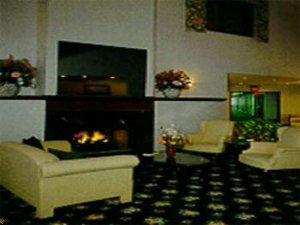 Comfort Inn Davison