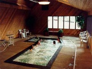 Comfort Inn Newberry