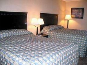 Comfort Inn Edison