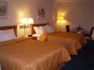 Comfort Inn Pine Grove