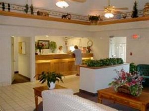 Comfort Suites Lexington