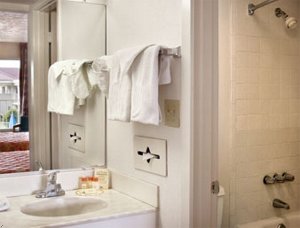 Lumberton-Days Inn Outlet Mall
