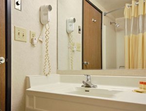 Detroit-Days Inn Metropolitan Airport