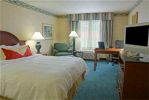 Hilton Garden Inn Houston/Bush Intercontinental Airport