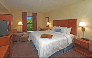 Hampton Inn Albany-Wolf Road (Airport)
