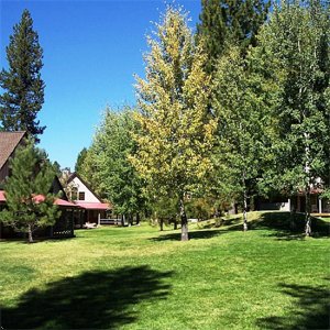 Circle Four Ranch Cabins