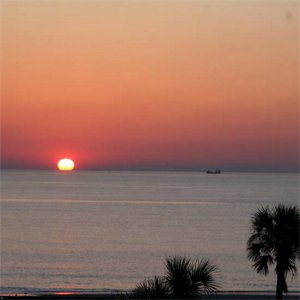 Tybee Beach Resort Club