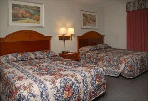 La Quinta Inn And Suites Woodlands South