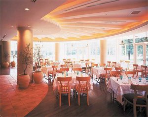Japan Hotels