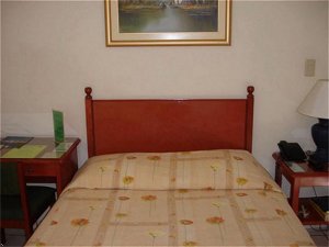 Salvador Hotels