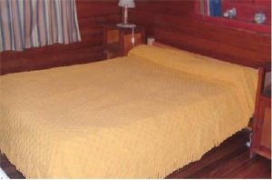 Guest Patagonia