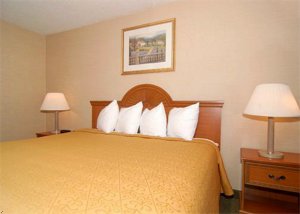 Quality Inn Greenville