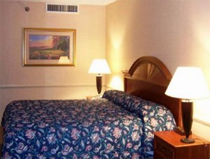 Ramada Dfw Airport South