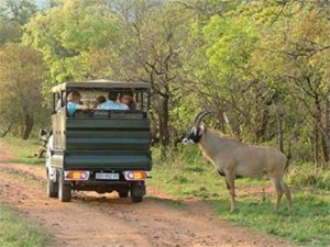 Thanda Nani Game Lodge