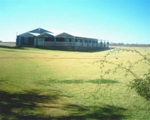 Africa Hotels
