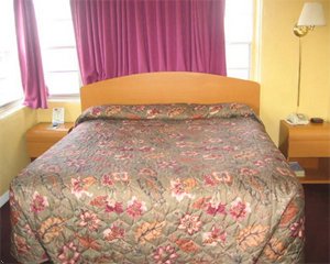 Sflor - Scottish Inns & Suites Ormond Beach