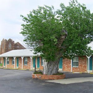 Budget Host Western Motel Vernon