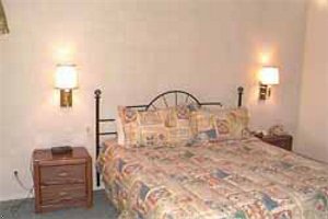 Desert Isle Of Palm Springs (Vri)