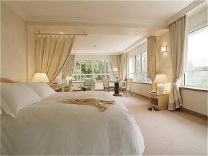 Sofitel Thalassa Vichy Les Celestins