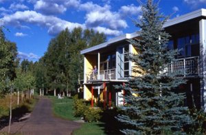 Aspen Meadows